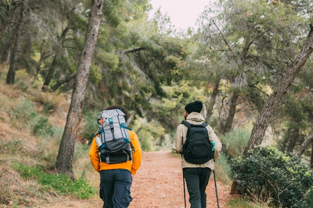 Homens, trekking, em, natureza