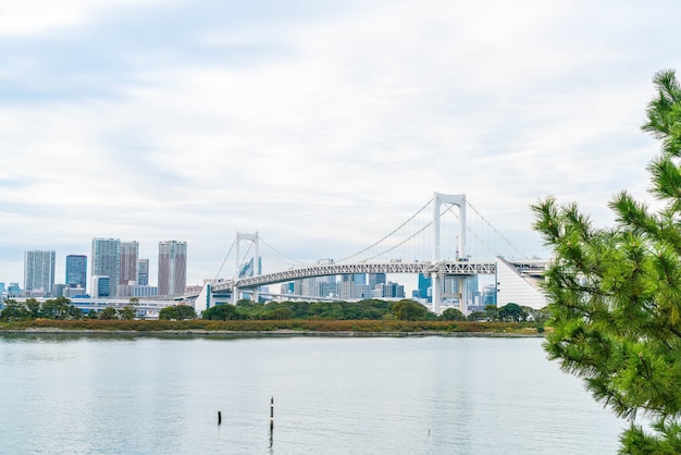 Horizonte de tóquio com a torre de tóquio e a ponte do arco-íris.