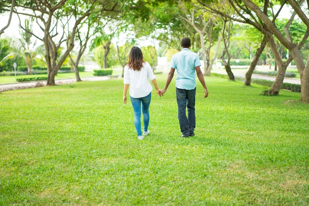 Ideia traseira dos pares multi-étnicos que andam guardando as mãos no parque.