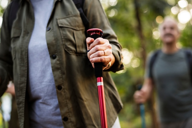 Idosos, trekking, em, um, floresta