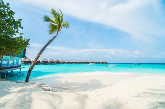 Ilha das Maldivas