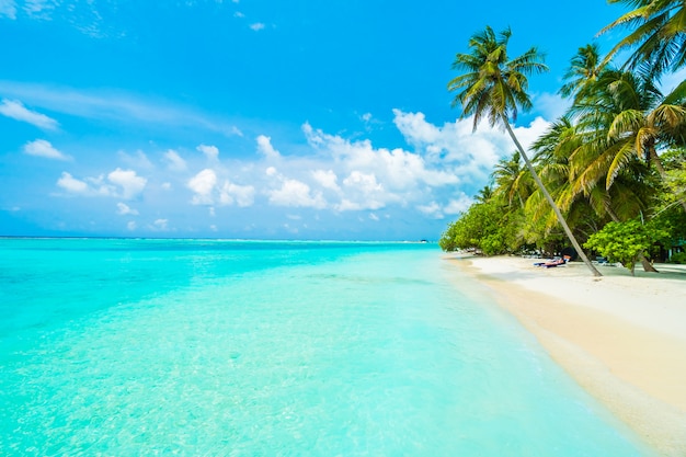 Ilha das Maldivas