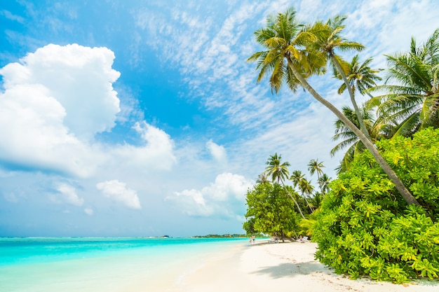 Foto grátis ilha das maldivas
