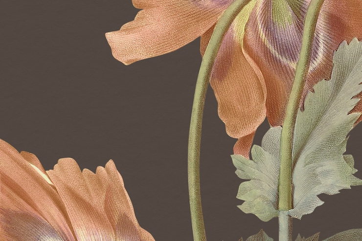 Foto grátis ilustração de fundo de flor de papoula vintage, remixada de obras de arte de domínio público