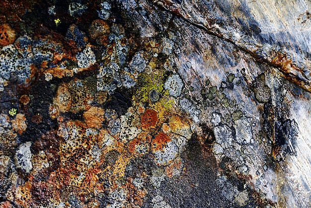 Imagem aproximada de uma textura de rocha com marcas naturais coloridas