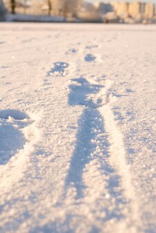 Imagem de pegadas na neve. conceito de turismo de inverno. mídia mista