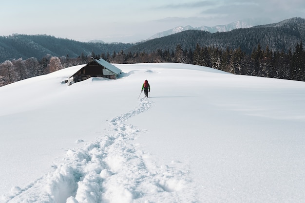 Imagem de trás de uma pessoa caminhando em uma montanha de neve perto de uma velha cabana cercada por abetos