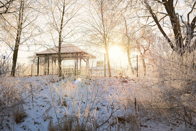 Imagem de um mirante de inverno e árvores cobertas de neve. conceito de ano novo e natal. descanse no sanatório. mídia mista