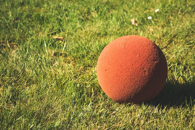 Imagem de uma pequena bola vermelha no chão em um campo, capturada em um dia ensolarado