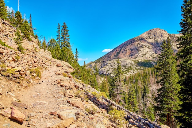 Imagem do caminho subindo uma montanha com pinheiros e céu azul