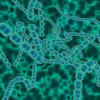 Foto grátis imagem médica abstrata 3d com células do vírus strep a