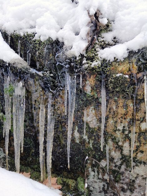 Imagem vertical de pingentes de gelo em uma rocha coberta de neve e musgos sob a luz do sol