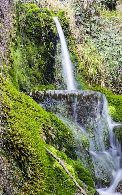 Imagem vertical de uma cachoeira cercada por vegetação sob a luz do sol no Parque Nacional de Krka