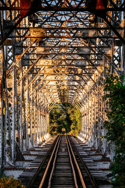 Imagem vertical de uma ferrovia misteriosamente abandonada em meio a uma floresta florescente