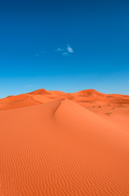 Foto grátis imagem vertical de uma paisagem de dunas de areia laranja contra um céu azul