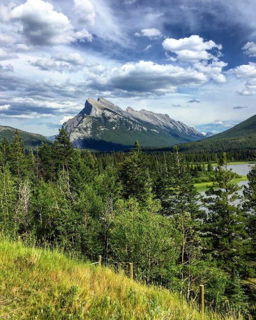 Imagem vertical do Monte Rundle cercado por vegetação sob um céu nublado no Canadá