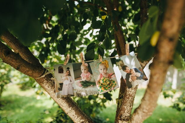 Imagens de criança em uma árvore