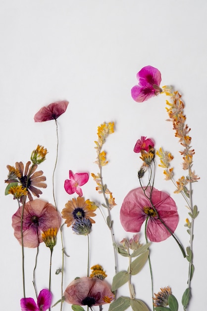 Foto grátis imprensa de flores de vista superior com fundo branco