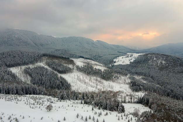 Incrível paisagem de inverno com pinheiros de floresta coberta de neve em montanhas frias e nebulosas ao nascer do sol.