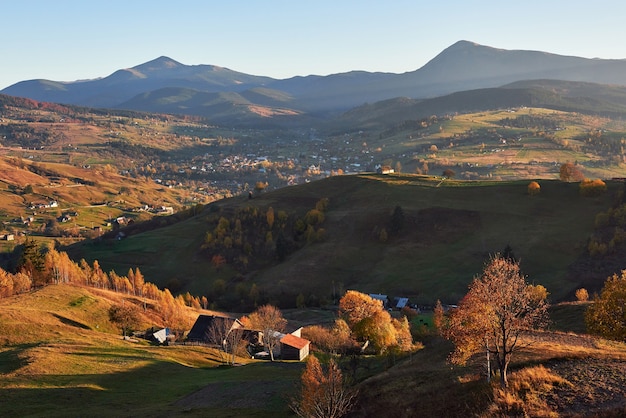 Incrível paisagem de manhã de outono nas montanhas com prados e árvores coloridas em primeiro plano e nevoeiro sob os pés.