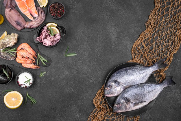 Ingredientes e frutos do mar com espaço de cópia de rede de pesca