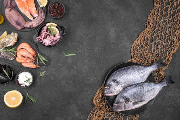 Ingredientes e frutos do mar com espaço para a cópia da rede de peixe
