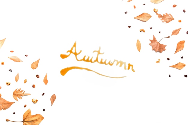 Inscrição de outono no quadro de floresta de outono