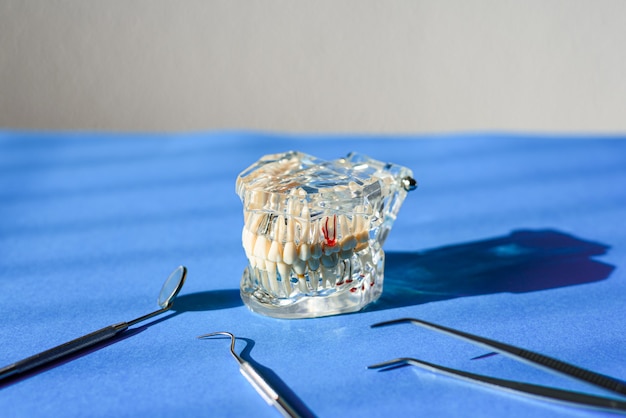 Instrumentos dentários para cicatrizar dentaduras, mandíbula isolada na mesa de um médico dentista