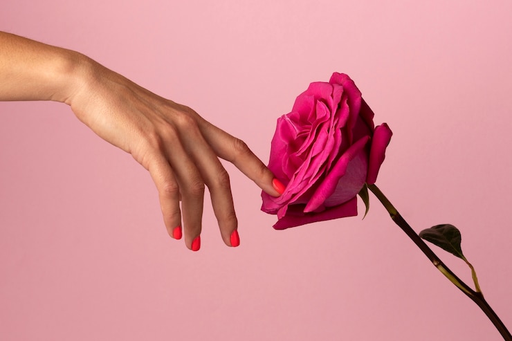 Foto grátis interpretação do sistema reprodutor feminino com flor