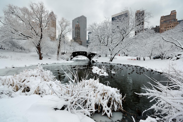 Inverno do Central Park com arranha-céus e ponte no centro de Manhattan New York City