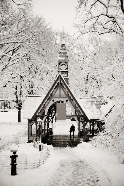 Inverno do Central Park no centro de Manhattan New York City