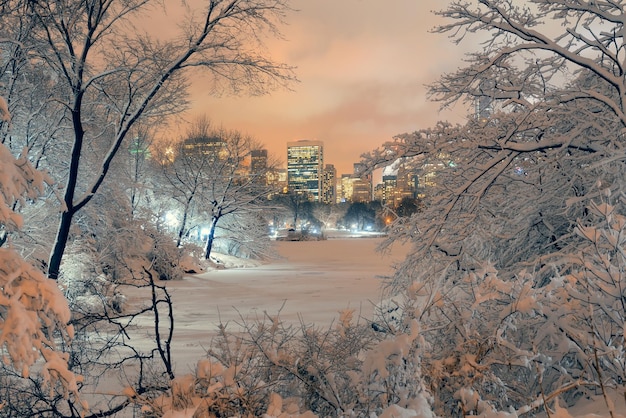 Inverno do central park no centro de manhattan new york city