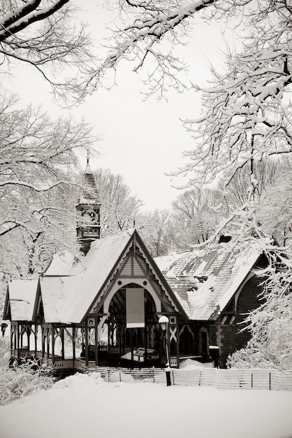 Foto grátis inverno do central park no centro de manhattan new york city