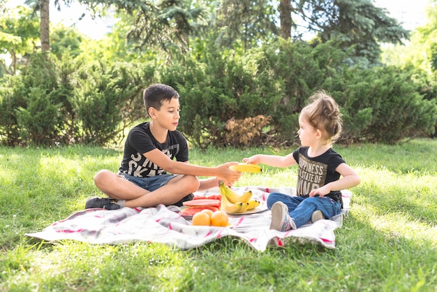 Irmão e irmã sentada no parque com muitas frutas