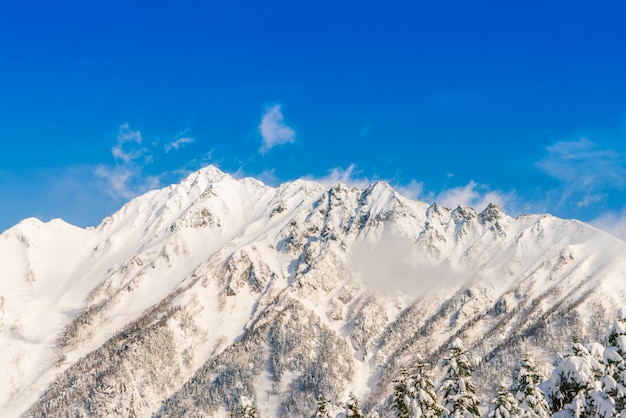 Japão da montanha do inverno com neve cobriu