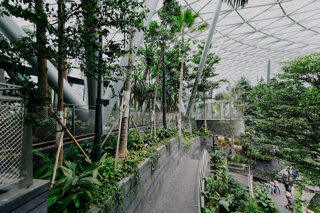 jardim botânico com plantas