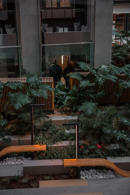 Foto grátis jardim com banco de madeira e plantas