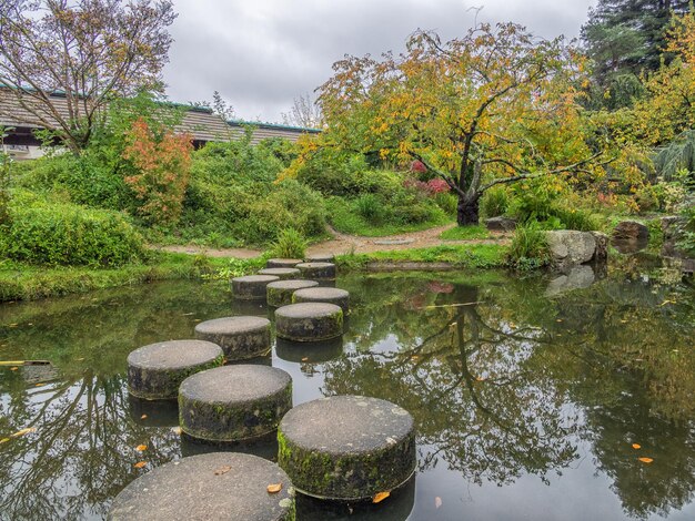 Jardim com lagoa em estilo asiático. caminho de pedra em um jardim japonês de água.