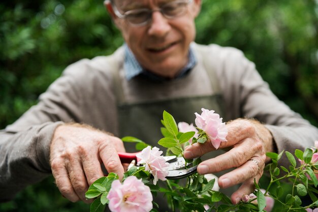 Jardinagem de flores de homem idoso