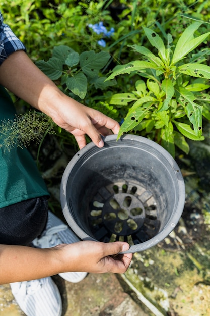 Foto grátis jardinagem