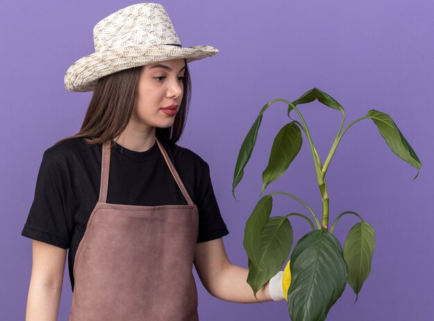 Jardineira confiante, bonita e caucasiana, usando luvas e chapéu de jardinagem, segurando e olhando para um galho de planta isolado na parede roxa com espaço de cópia