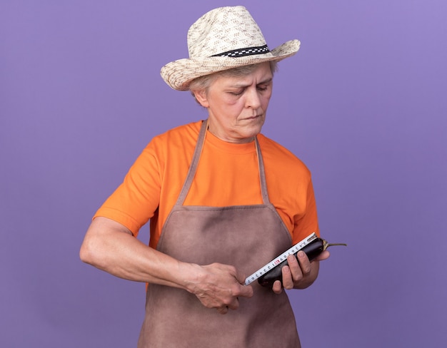 Jardineira idosa confiante usando chapéu de jardinagem, medindo berinjela com fita métrica isolada na parede roxa com espaço de cópia