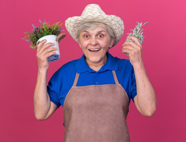 Jardineira idosa surpresa com chapéu de jardinagem segurando vasos de flores