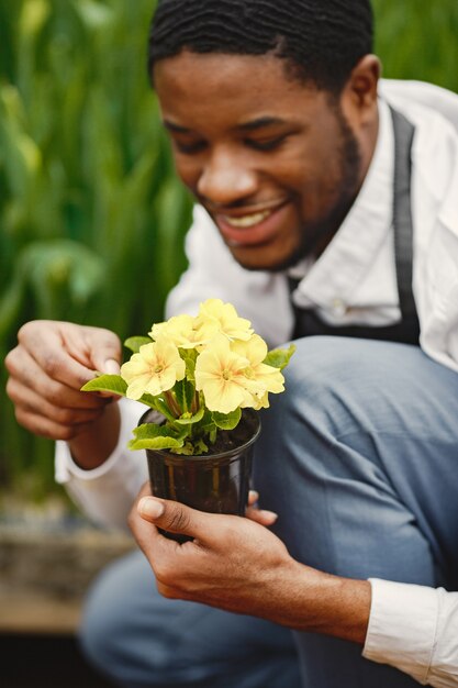 Jardineiro de avental. Cara africano em uma estufa. Flores em uma panela.