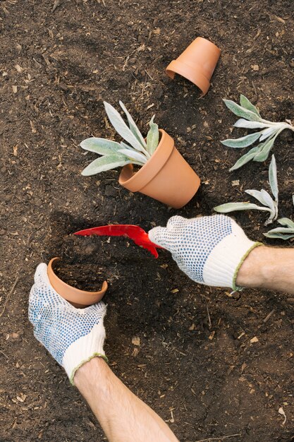 Jardineiro de colheita colocando solo em vaso