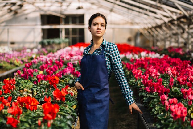 Jardineiro feminino trabalhando na estufa