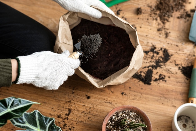 Jardineiro repotando uma planta de casa