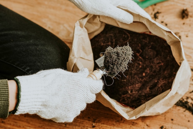 Jardineiro repotando uma planta de casa