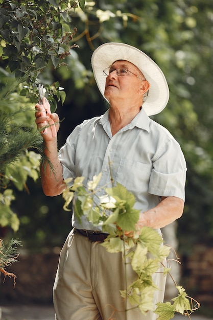 Jardineiro sênior está apreciando seu trabalho no jardim. Velho com uma camisa branca.