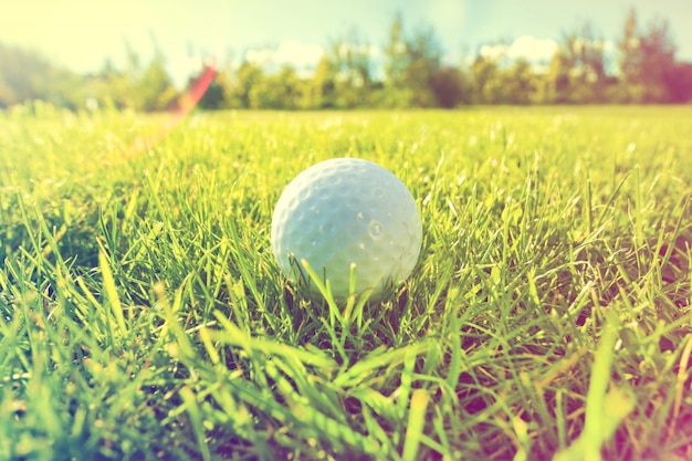 Foto grátis jogo de golfe.